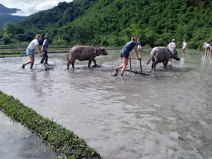 Mai Chau Xanh Bungalow Zewnętrze zdjęcie