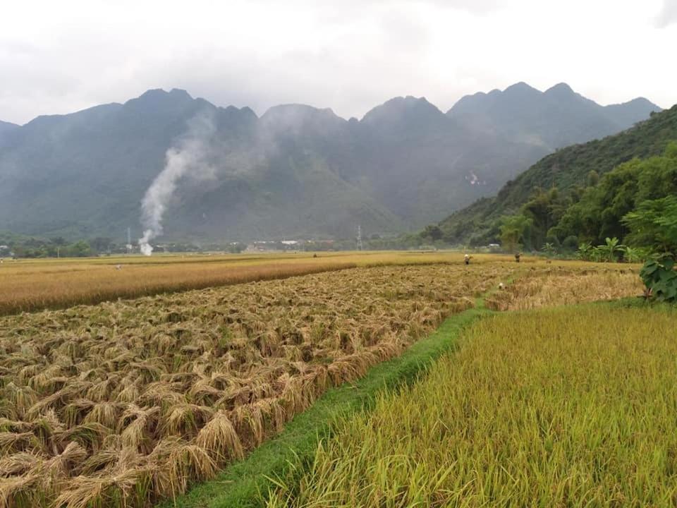 Mai Chau Xanh Bungalow Zewnętrze zdjęcie