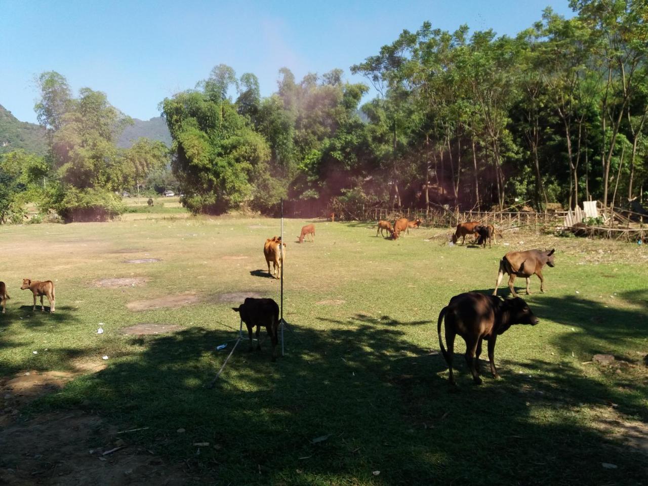 Mai Chau Xanh Bungalow Zewnętrze zdjęcie